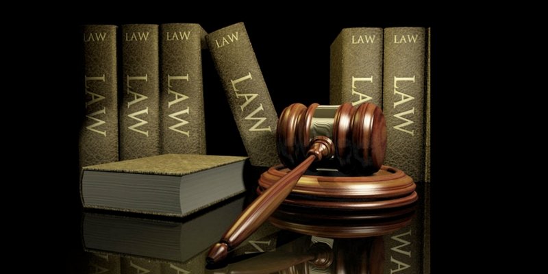 a-comprehensive-look-at-company-law-and-business-hierarchy